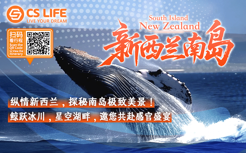 8-Day Tour of New Zealand's South Island